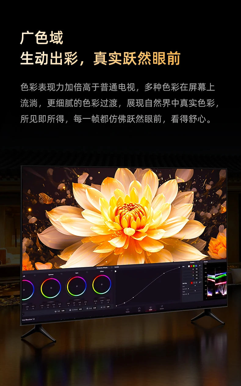 13pg4565/70/75/85/100-Inch 4K HD LCD Intelligent Network Voice Home TV